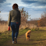 Dog Poop Pickup in York Michigan